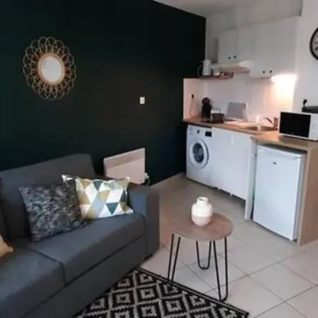 T2 St Martin Du Touch Proche Airbus, Stelia, Cs Toulouse