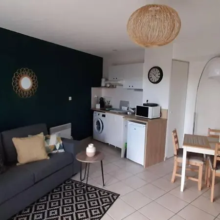 Apartamento T2 St Martin Du Touch Proche Airbus, Stelia, Cs Toulouse